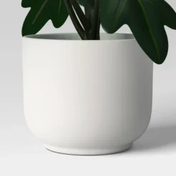 Core Plant Multipack In White Pot - Room Essentials™ 9 Core Plant Multipack In White Pot - Room Essentials™ -Room Essentials GUEST 23f0793d e482 4654 8d9f f43140e8c4d5