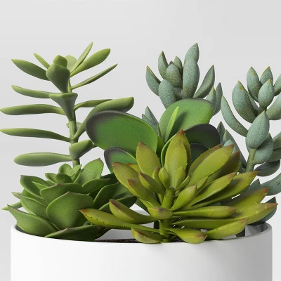 Succulent Arrangement In White Pot - Room Essentials™ 2 Succulent Arrangement In White Pot - Room Essentials™ - Image 2