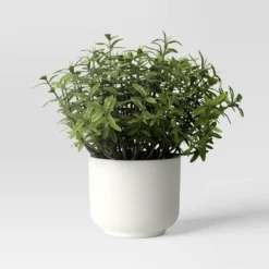 Herb Artificial Plant In White Pot - Room Essentials™ -Room Essentials GUEST 2fa8710c 5d5b 4f47 9af2 64f0071f7c52