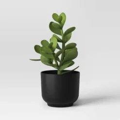 Succulent Artificial In Black Pot - Room Essentials™ 8 Succulent Artificial In Black Pot - Room Essentials™ -Room Essentials GUEST 39c4aa68 47f1 486e 8e41 5902428fe6c1