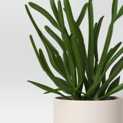 3pk 7.87" Monstera Artificial Plants - Room Essentials™ -Room Essentials GUEST 42aa6e1e 871f 45b2 8f95 a0bff9cd21df