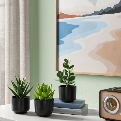 Succulent Artificial In Black Pot - Room Essentials™ 1 Succulent Artificial In Black Pot - Room Essentials™