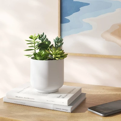 Succulent Arrangement In White Pot - Room Essentials™ 1 Succulent Arrangement In White Pot - Room Essentials™