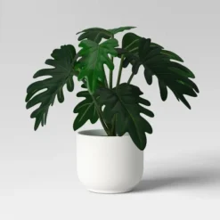 Core Plant Multipack In White Pot - Room Essentials™ 8 Core Plant Multipack In White Pot - Room Essentials™ -Room Essentials GUEST 87daa1fd 2e72 41a8 be61 554c95f53ec4
