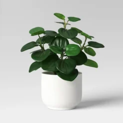 Core Plant Multipack In White Pot - Room Essentials™ 7 Core Plant Multipack In White Pot - Room Essentials™ -Room Essentials GUEST ce3585df ff54 4e02 b2cd 15d0ecaf7cf5