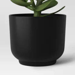Succulent Artificial In Black Pot - Room Essentials™ 9 Succulent Artificial In Black Pot - Room Essentials™ -Room Essentials GUEST e1e9854e 78dc 4f17 bc3a 8dcfcf1bacab